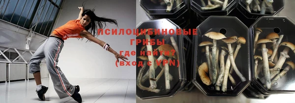 гашик Карталы