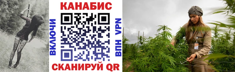 Шишки марихуана SATIVA & INDICA Красный Холм